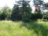  2192534-4353annonce120250615EVHHm.jpeg Maisons Open