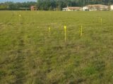  2190634-5604annonce220250613XcsvT.jpeg Maisons Open