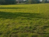  2190634-5604annonce320250613VaSRW.jpeg Maisons Open