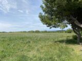  2194578-11456annonce120250617aVP8D.jpeg Maisons Open