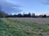  2193470-3133annonce4202506169FmFH.jpeg Maisons Open