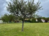  2194648-10885annonce120250617OkQL4.jpeg Maisons Open