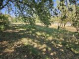  2195190-5163annonce3202506179B0Rs.jpeg Maisons Open