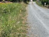  2193692-2684annonce320250616LT5Ni.jpeg Maisons Open