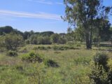  2195360-5163annonce120250220wy1El.jpeg Maisons Open