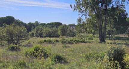 Puget-sur-Argens Terrain à bâtir - 2195360-5163annonce120250220wy1El.jpeg Maisons Open