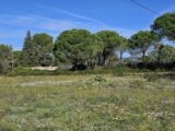  2195360-5163annonce320250220QET8n.jpeg Maisons Open