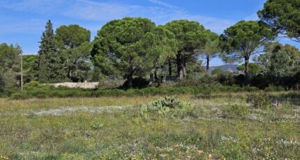 Puget-sur-Argens Terrain à bâtir - 2195360-5163annonce320250220QET8n.jpeg Maisons Open
