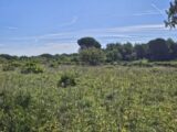  2195360-5163annonce4202502204Sf3S.jpeg Maisons Open