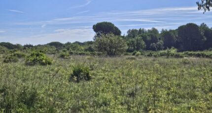 Puget-sur-Argens Terrain à bâtir - 2195360-5163annonce4202502204Sf3S.jpeg Maisons Open