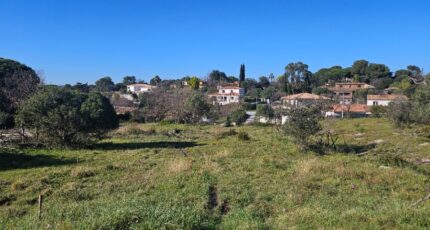 Roquebrune-sur-Argens Terrain à bâtir - 2195379-5163annonce120250220G0BT3.jpeg Maisons Open