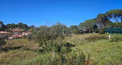 Roquebrune-sur-Argens Terrain à bâtir - 2195379-5163annonce3202502200GeH8.jpeg Maisons Open