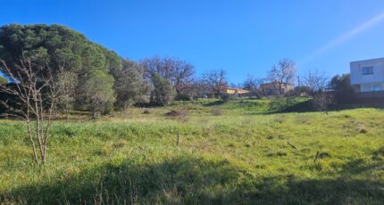 Roquebrune-sur-Argens Terrain à bâtir - 2195384-5163annonce320250220WTTNJ.jpeg Maisons Open