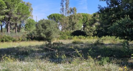 Puget-sur-Argens Terrain à bâtir - 2195339-5163annonce220250220xNswJ.jpeg Maisons Open