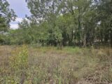  2195435-5163annonce120250220agVcp.jpeg Maisons Open