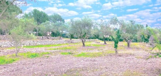 Terrain à bâtir à Bagnols-en-Forêt, Provence-Alpes-Côte d'Azur