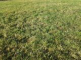  2123741-3231annonce120250403P4BBa.jpeg Maisons Open