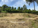 2195843-10140annonce120250618Odrzi.jpeg Maisons Open