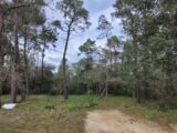  2196007-812annonce420250618S9UXM.jpeg Maisons Open
