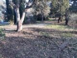  2197151-10295annonce120250221WlX1e.jpeg Maisons Open