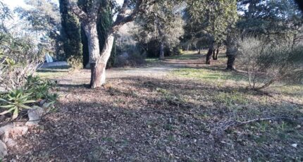 Vidauban Terrain à bâtir - 2197151-10295annonce120250221WlX1e.jpeg Maisons Open