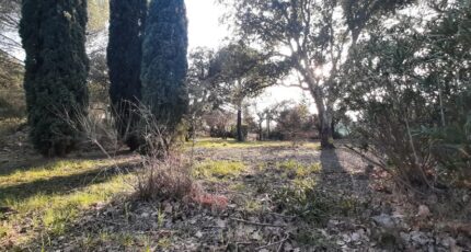 Vidauban Terrain à bâtir - 2197151-10295annonce220250221X59dG.jpeg Maisons Open