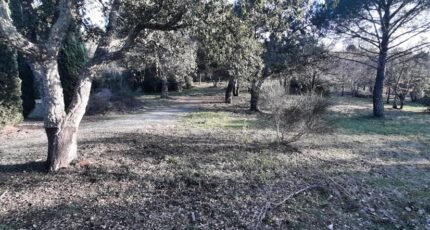 Vidauban Terrain à bâtir - 2197151-10295annonce320250221cn0sh.jpeg Maisons Open