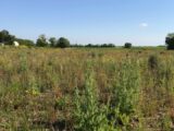  2198787-11452annonce220250620L05Ev.jpeg Maisons Open