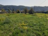  2198868-1837annonce3202506203WrTt.jpeg Maisons Open