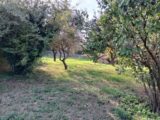  2198760-11040annonce120250620cTKRt.jpeg Maisons Open