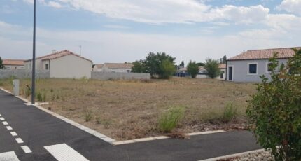 Alzonne Terrain à bâtir - 2199184-11456annonce120250620cLoSH.jpeg Maisons Open
