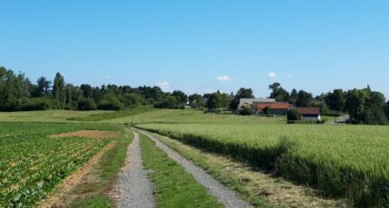 Boullay-les-Troux Terrain à bâtir - 2200493-10686annonce220250621hwxIQ.jpeg Maisons Open