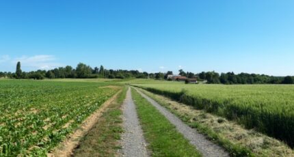 Boullay-les-Troux Terrain à bâtir - 2200493-10686annonce320250621A3Noh.jpeg Maisons Open