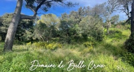 Villeneuve-lès-Avignon Terrain à bâtir - 2162702-617annonce320250114dv6HH.jpeg Maisons Open