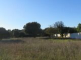  2161784-3418annonce120240124za7XH.jpeg Maisons Open