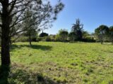  2161866-3418annonce320241007q7yMN.jpeg Maisons Open