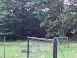 2134262-1635annonce12025041652Cc7.jpeg Maisons Open