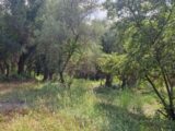  2205411-1836annonce220250626RVXId.jpeg Maisons Open
