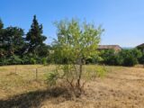  2206271-2970annonce120250626aS4kr.jpeg Maisons Open