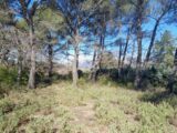  2142638-11238annonce120250428CNgVN.jpeg Maisons Open