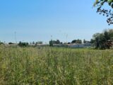  2168059-11045annonce3202501215iSFq.jpeg Maisons Open