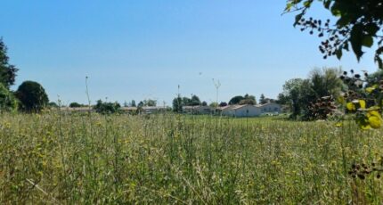 Trois-Palis Terrain à bâtir - 2168059-11045annonce3202501215iSFq.jpeg Maisons Open