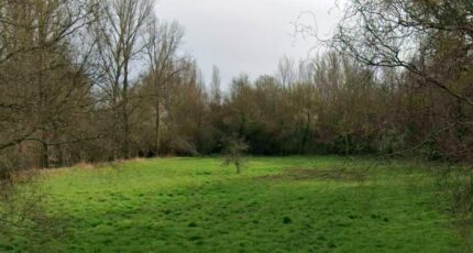 Saint-Hilaire Terrain à bâtir - 2206156-6043annonce420250626cTfcu.jpeg Maisons Open