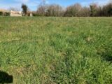  2207688-10974annonce320250627l9iJR.jpeg Maisons Open