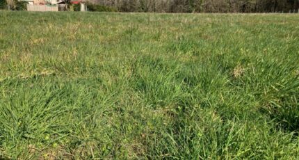 Saintes Terrain à bâtir - 2207688-10974annonce320250627l9iJR.jpeg Maisons Open