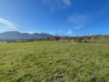  2142572-3921annonce3202504282cQLz.jpeg Maisons Open