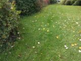  2207613-10730annonce220250627zGTBn.jpeg Maisons Open