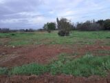  2208348-11041annonce220250629Vq6wZ.jpeg Maisons Open