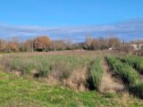  2208587-812annonce120241112Lp8HV.jpeg Maisons Open