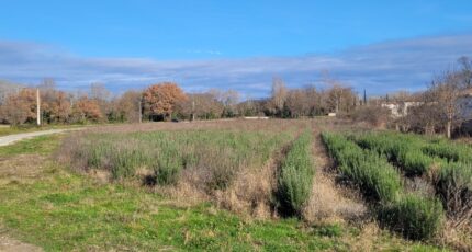 Puygiron Terrain à bâtir - 2208587-812annonce120241112Lp8HV.jpeg Maisons Open